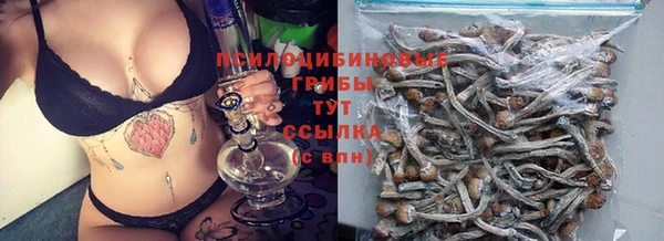 не бодяженный Абаза