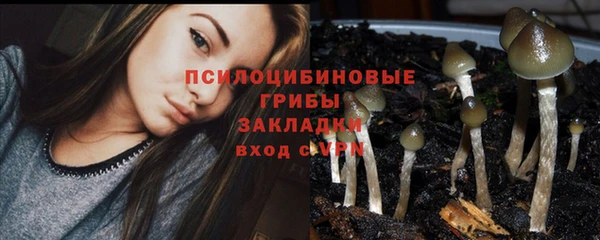 не бодяженный Абаза