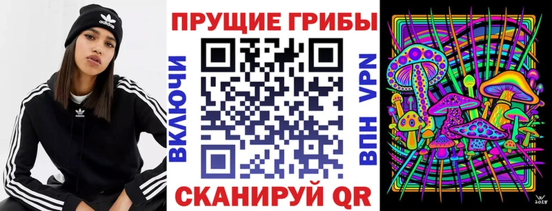 где купить   Каменка  Псилоцибиновые грибы GOLDEN TEACHER 