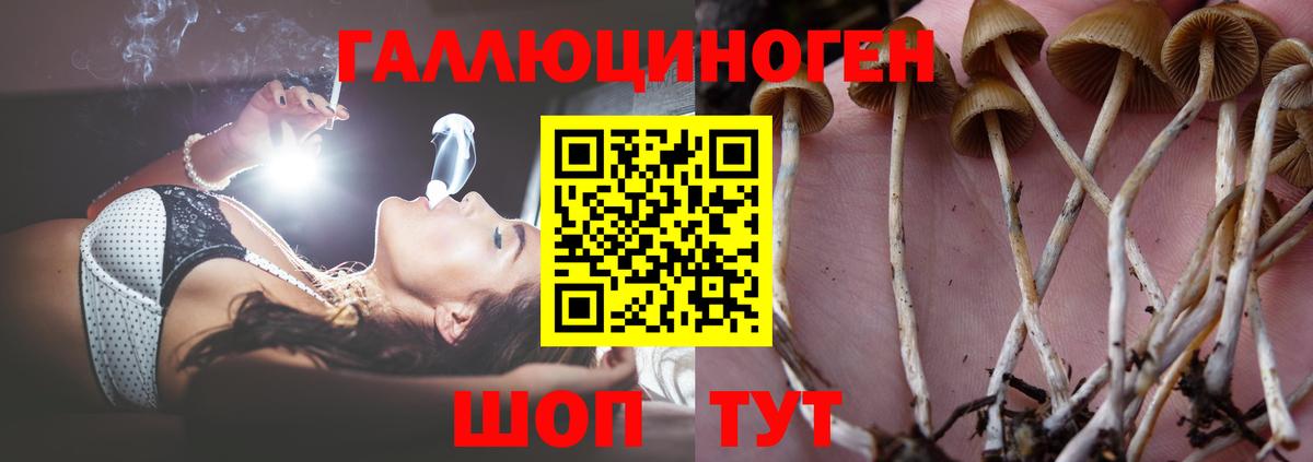 Псилоцибиновые грибы мухоморы Каменка