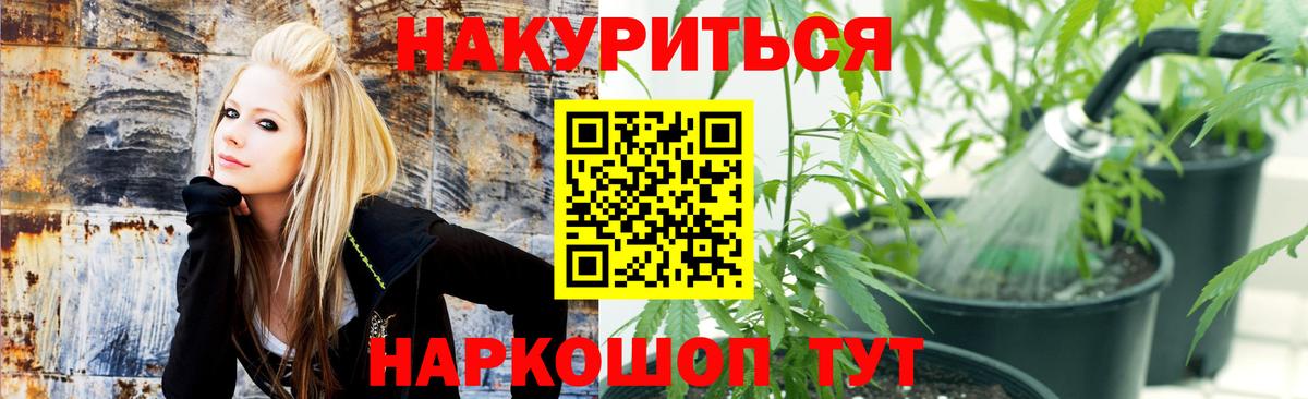 Канабис Amnesia  Вход с VPN  Шишки марихуана план  Каменка  МАРИХУАНА конопля 